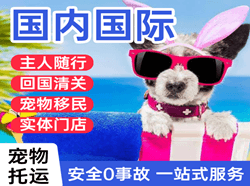 永州零陵空运代理国际宠物托运 【国